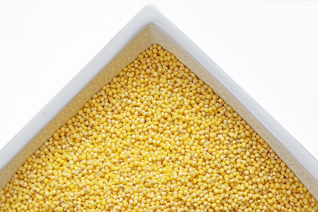 Zrna prosa v skodelici